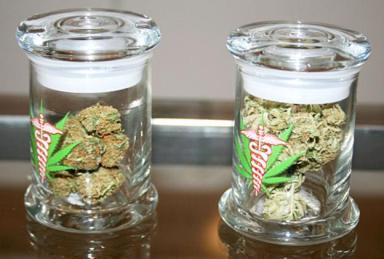 Jars of   medical marijuana are on display at a Richmond dispensary. File photo by   Natalie Jones.